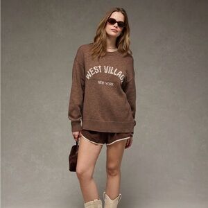 American Eagle Outfitters Brown Crew Neck Sweater